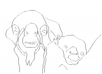 limousin (dessin)